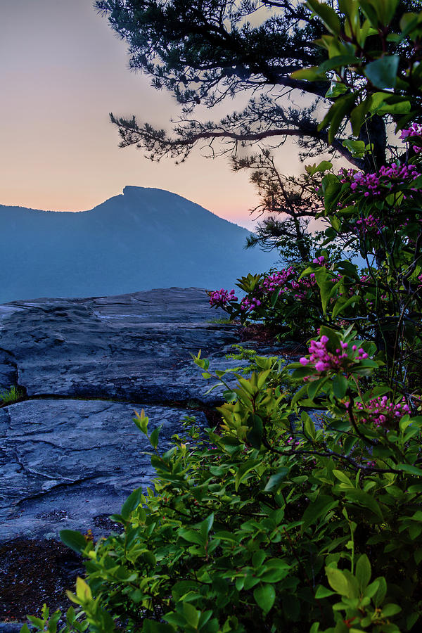 Sunset Photograph - Hawksbill Mountain by Rob Travis