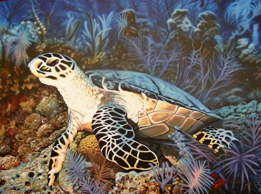 Hawksbill Turtle Painting by Dan Remmel