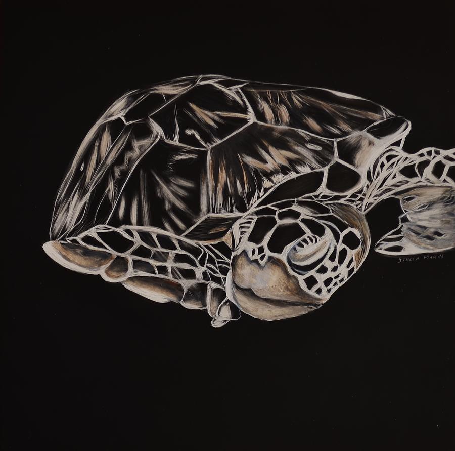 Hawksbill Turtle Painting by Stella Marin