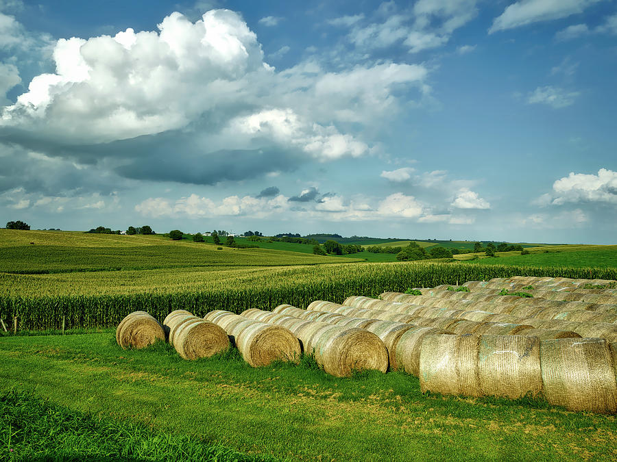 Hay and Corn in Iowa Photograph by Mountain Dreams