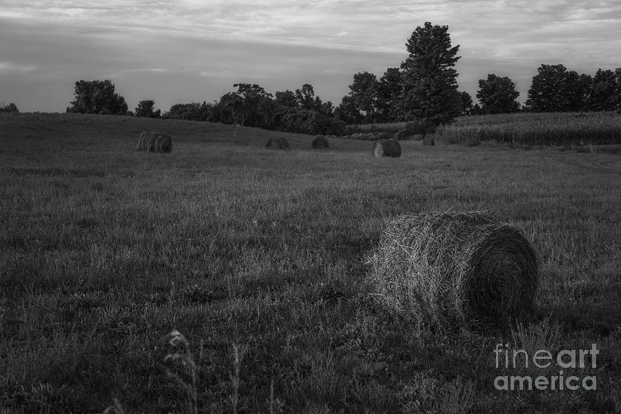 Tree Photograph - Hay Bail Sunrise BW by Michael Ver Sprill
