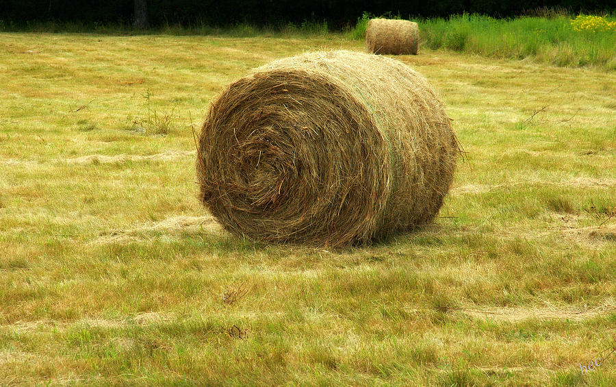 Hay bale  Photograph by Bruce Carpenter
