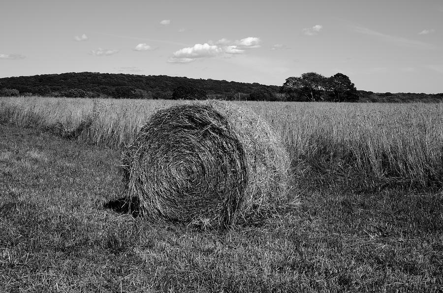 Hay Bale I Photograph by David Gordon