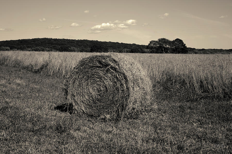 Hay Bale I Toned Photograph by David Gordon