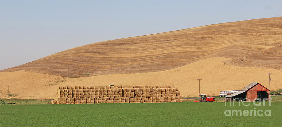 Hay Bales  3580 Photograph by Jack Schultz