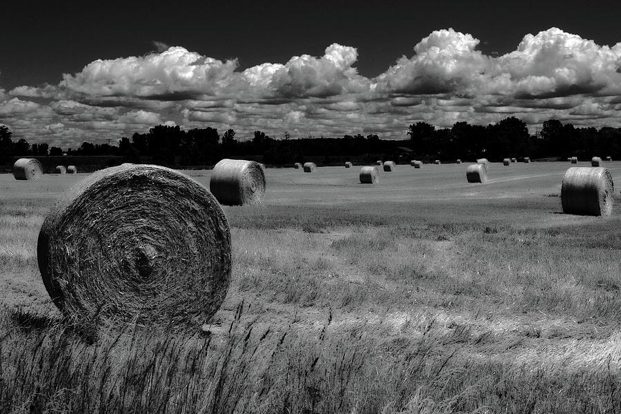 Hay Bales and Clouds Photograph by Michelle Calkins