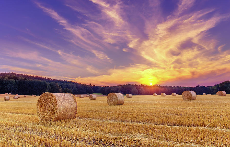 Hay bales and the setting sun Photograph by Dmytro Korol