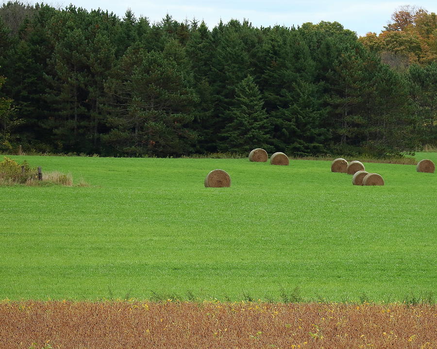 Hay Bales Photograph by Arvin Miner