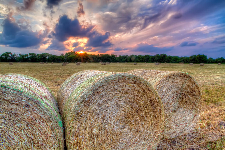 Hay Bales at Sunset Photograph by Tim Stanley