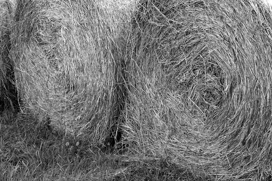 Hay Bales Photograph by Beth Vincent
