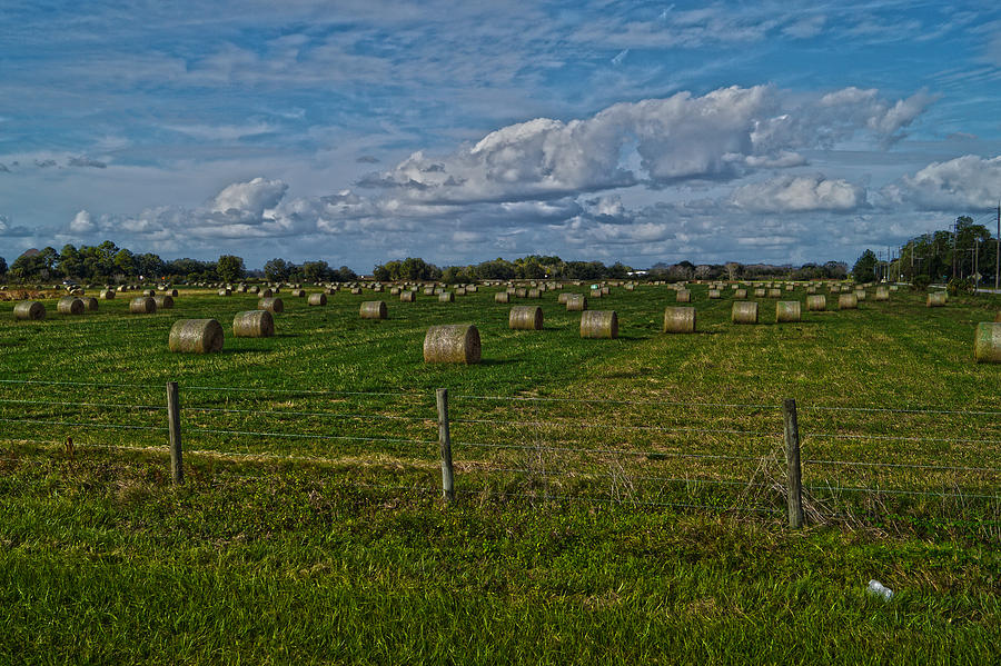 Hay Bales Photograph by Chauncy Holmes