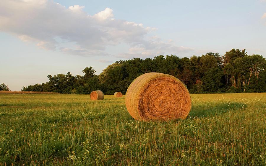 Hay Bales Dexter Drumlin Lancaster MA Photograph by Michael Saunders