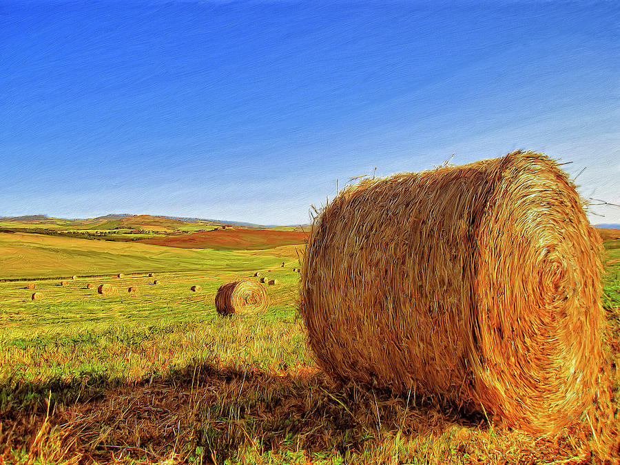 Hay Bales Painting by Dominic Piperata