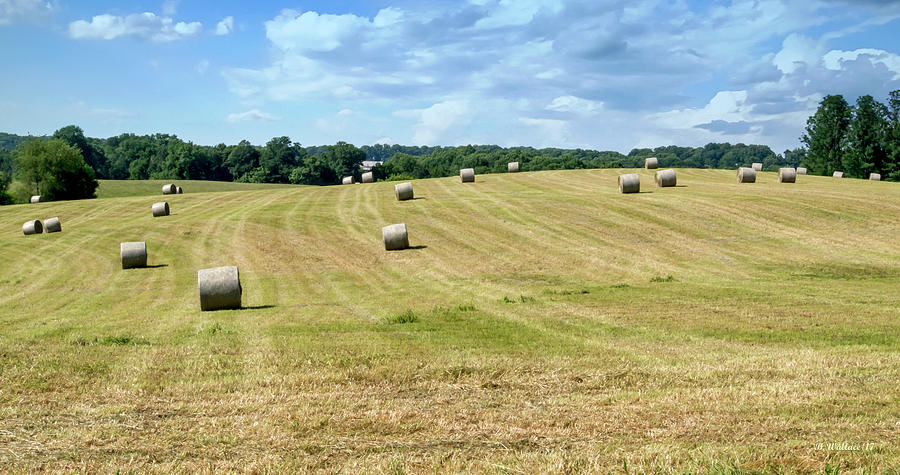 Hay Bales In A Field Photograph by Brian Wallace