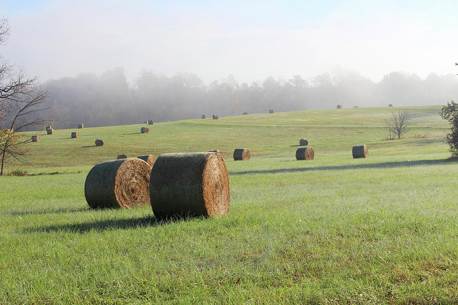 Hay Bales in a Missouri field on a sunny and foggy morning Photograph by Adam Long