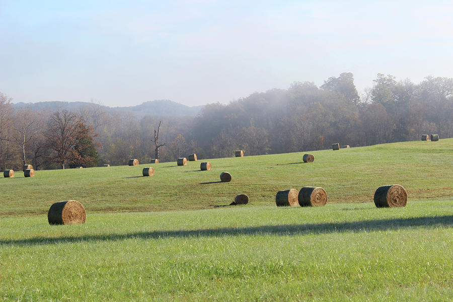 Hay Bales in a Missouri field on a sunny and misty morning Photograph by Adam Long