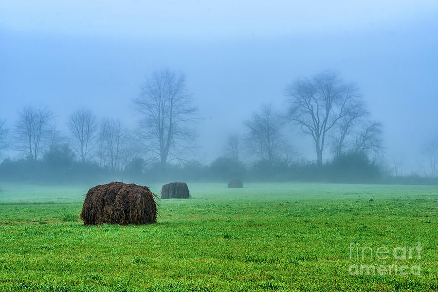 Hay Bales in Fog Photograph by Thomas R Fletcher