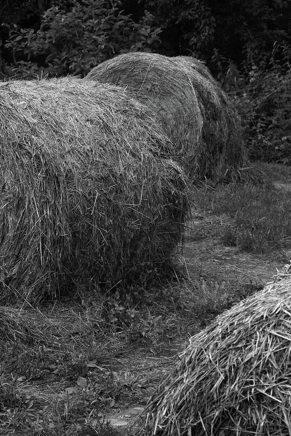 hay bales, Kerhonkson, New York Photograph by Robert Hopkins