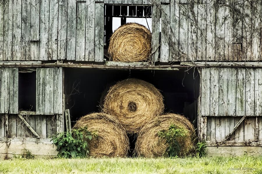 Hay Bales Photograph by Melissa Bittinger