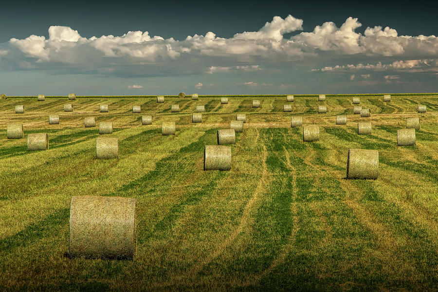 Hay Bales On A Farm In Alberta Canada Photograph By Randall Nyhof