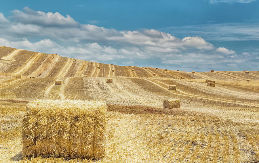 Hay Bales on a Summer Afternoon Photograph by Marc Crumpler