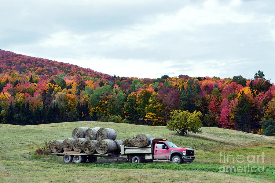 Hay Bales on a Truck in Vermont Photograph by Catherine Sherman