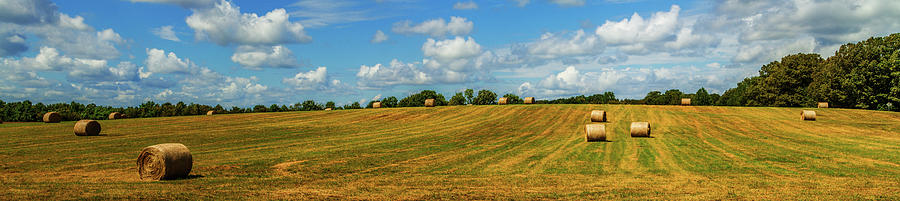 Hay Bales Panoramic Photograph by Barry Jones