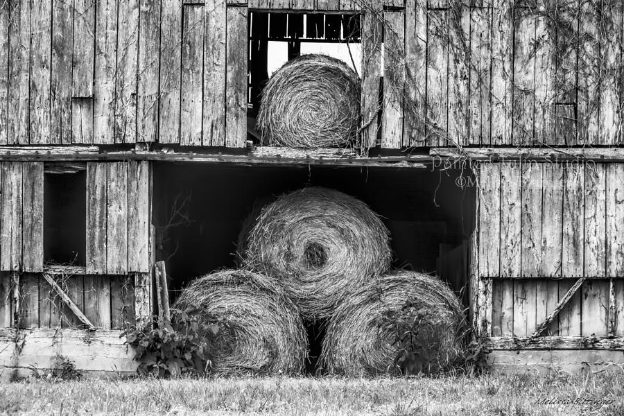 Hay Bales Rustic Architecture Black and White Photograph by Melissa Bittinger