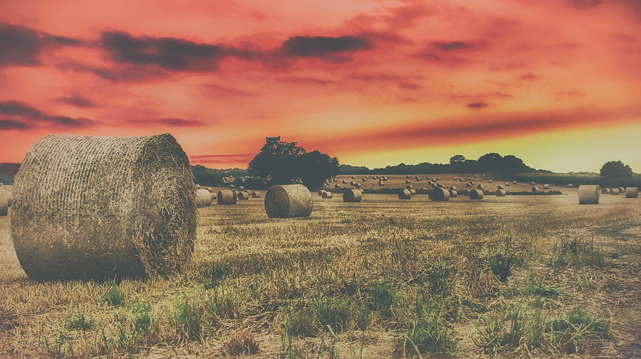 Nature Photograph - Hay Bales Sunset by Martin Newman