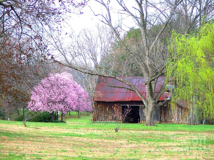 Nature Photograph - Hay Barn and a Touch of Pink by Judy  Waller
