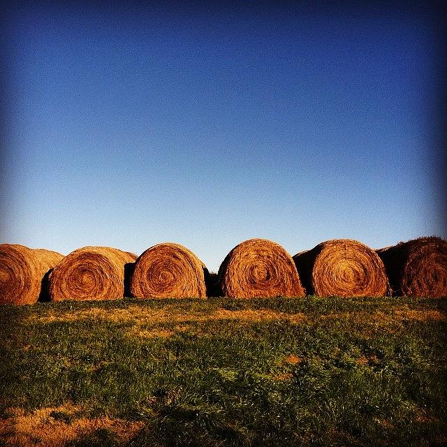 Hay Photograph - #hay #country #mississippi by Joan McCool