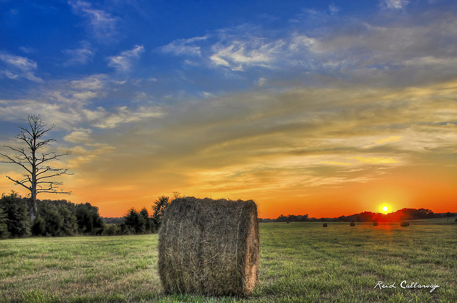 Hay Down Sunset Photograph by Reid Callaway