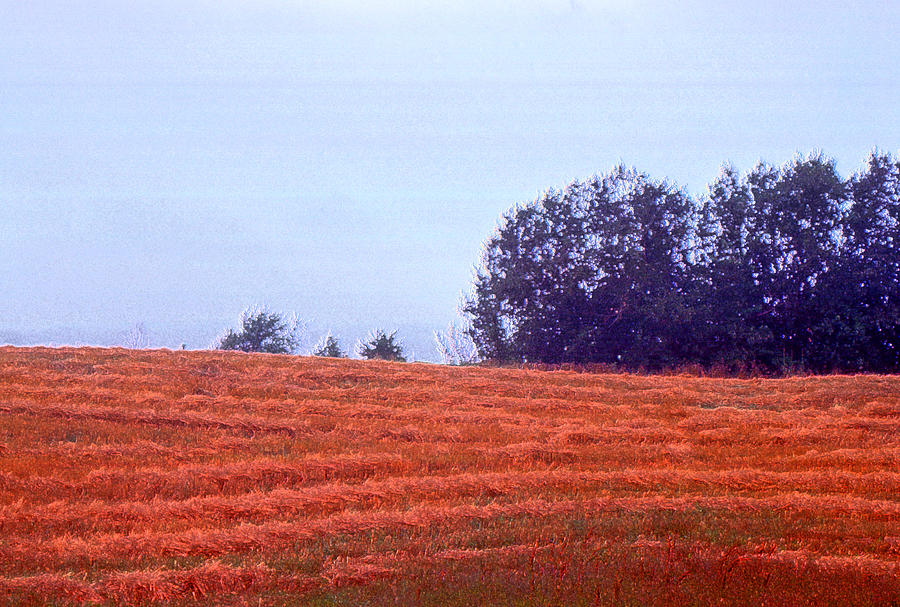 Hay Field 2 AE 2  Photograph by Lyle Crump