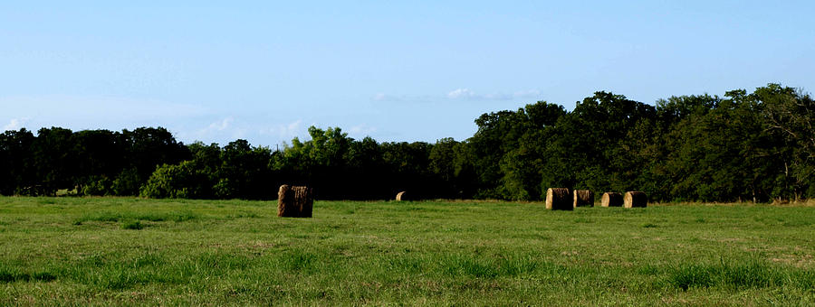 Hay Field And Grass Photograph by James Granberry