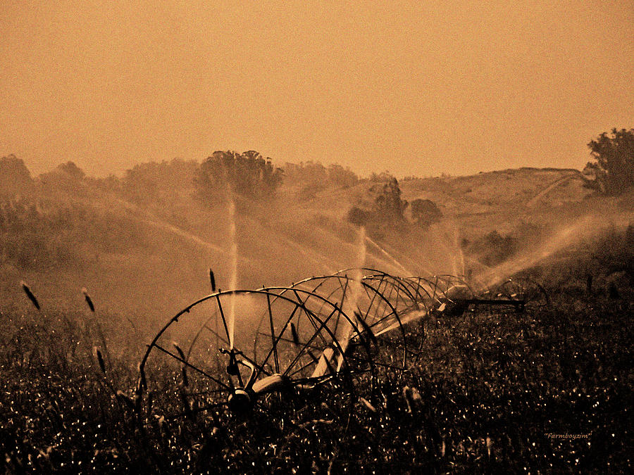 Hay Field Irrigation Photograph by Harold Zimmer