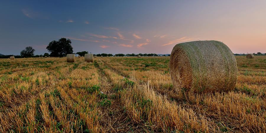 Hay Field Panorama Photograph by Paul Huchton