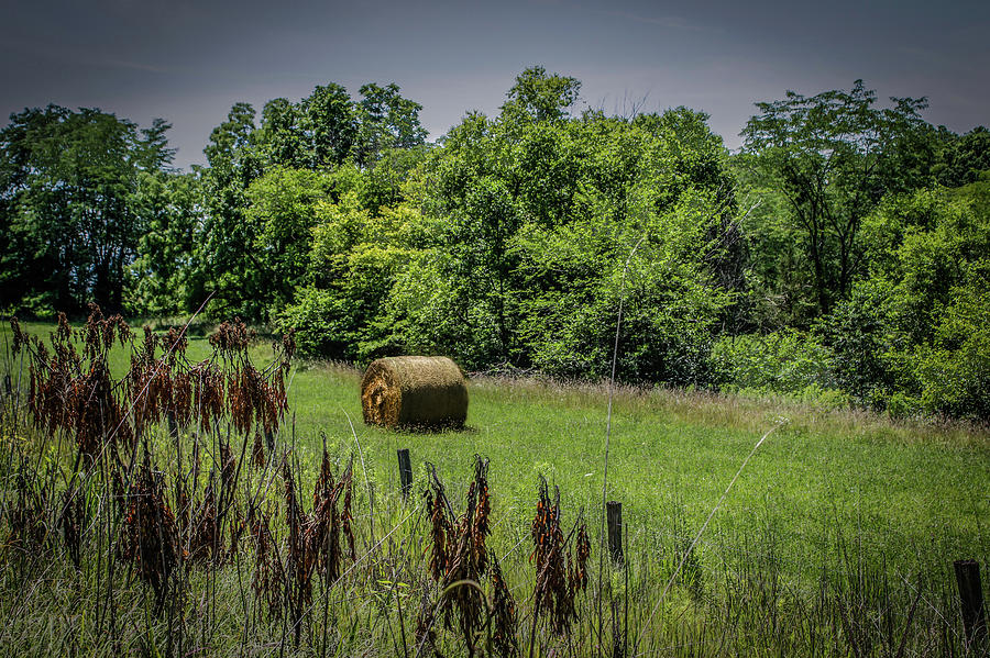 Hay Field Photograph by Ray Congrove
