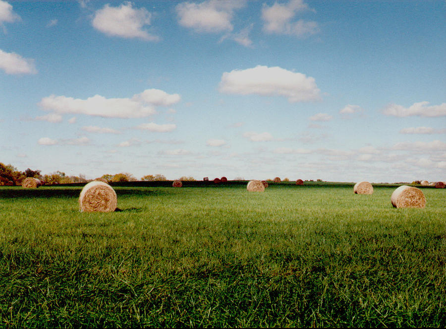 Hay Fields Photograph by Rex E Ater