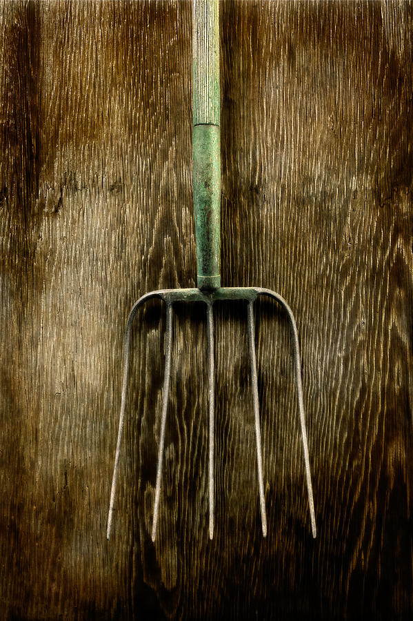 Vintage Photograph - Tools On Wood 7 by Yo Pedro