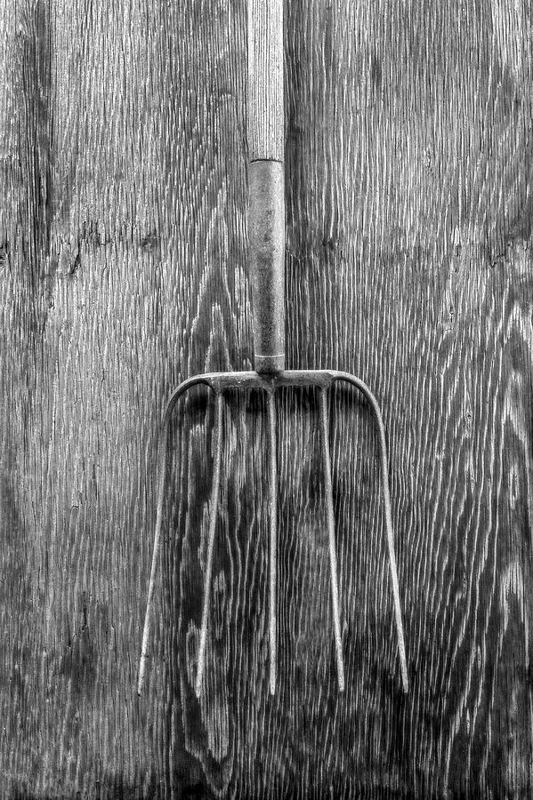 Hay Fork Photograph by YoPedro
