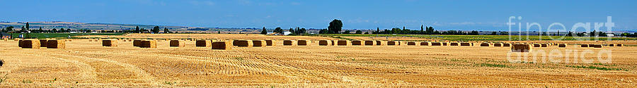 Hay Harvest 3663 Photograph by Ken DePue