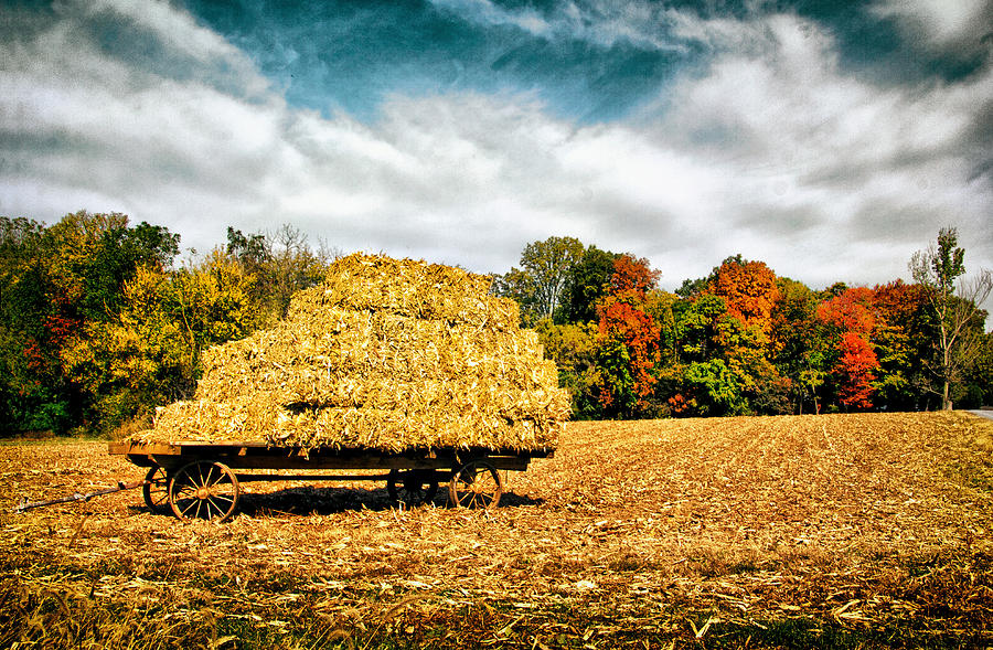 Hay Harvest  Photograph by Carolyn Derstine
