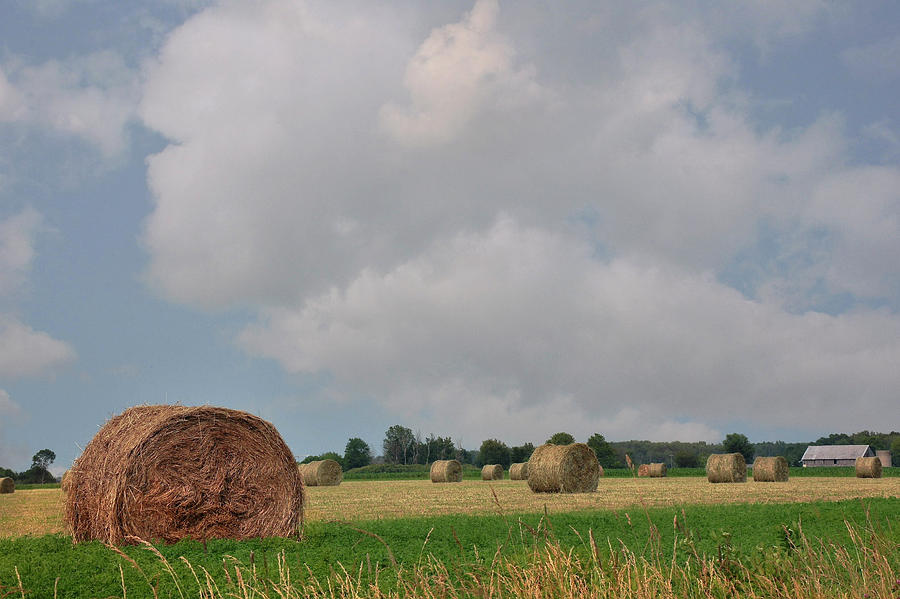 Hay Harvest Photograph