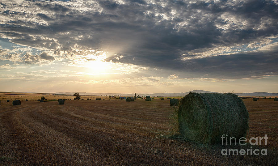 Hay Harvest Photograph by Idaho Scenic Images Linda Lantzy