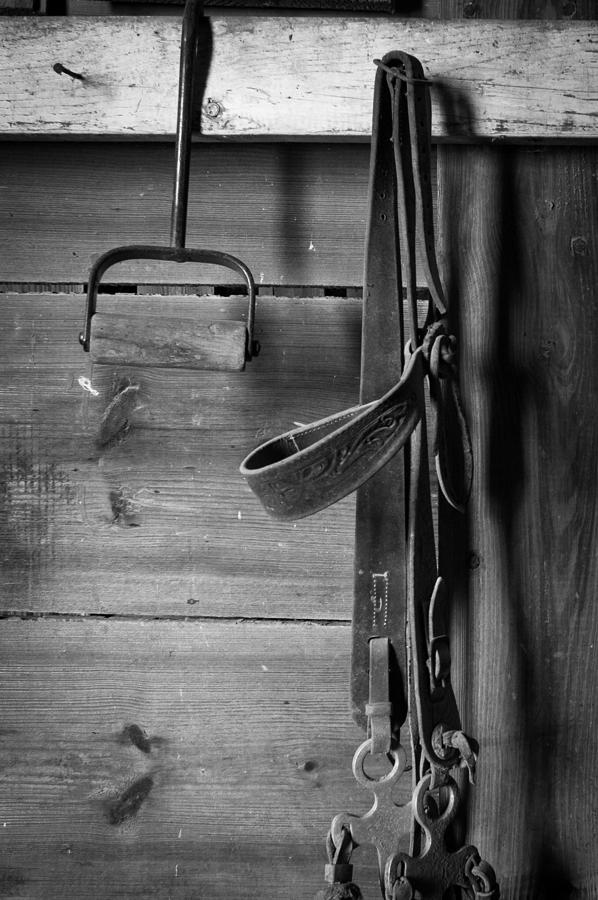 Hay Hook and Harness Photograph by Jeff Phillippi