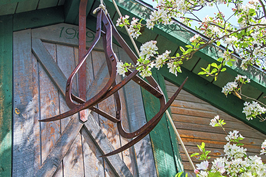 Hay Hooks And Blossoms Photograph