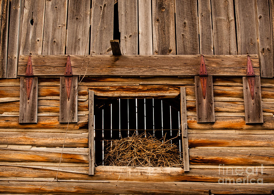 Hay Loft Door Photograph By Ds Dodd