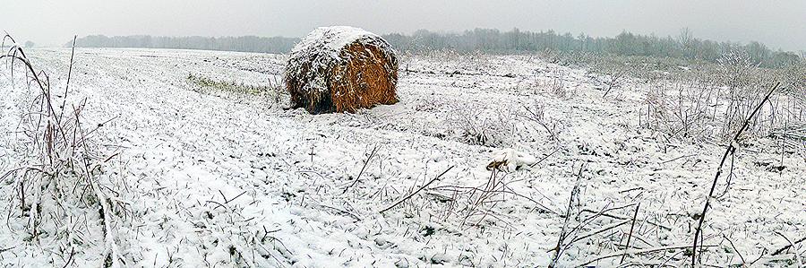 Winter Photograph - Hay. by Mihael Nollta