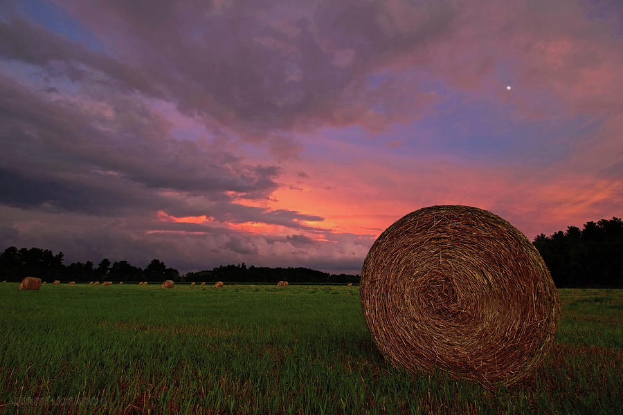 Landscape Photograph - Hay now by Jerry LoFaro