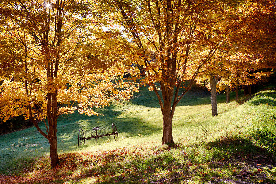 Hay rake under fall foliage Photograph by Jeff Folger